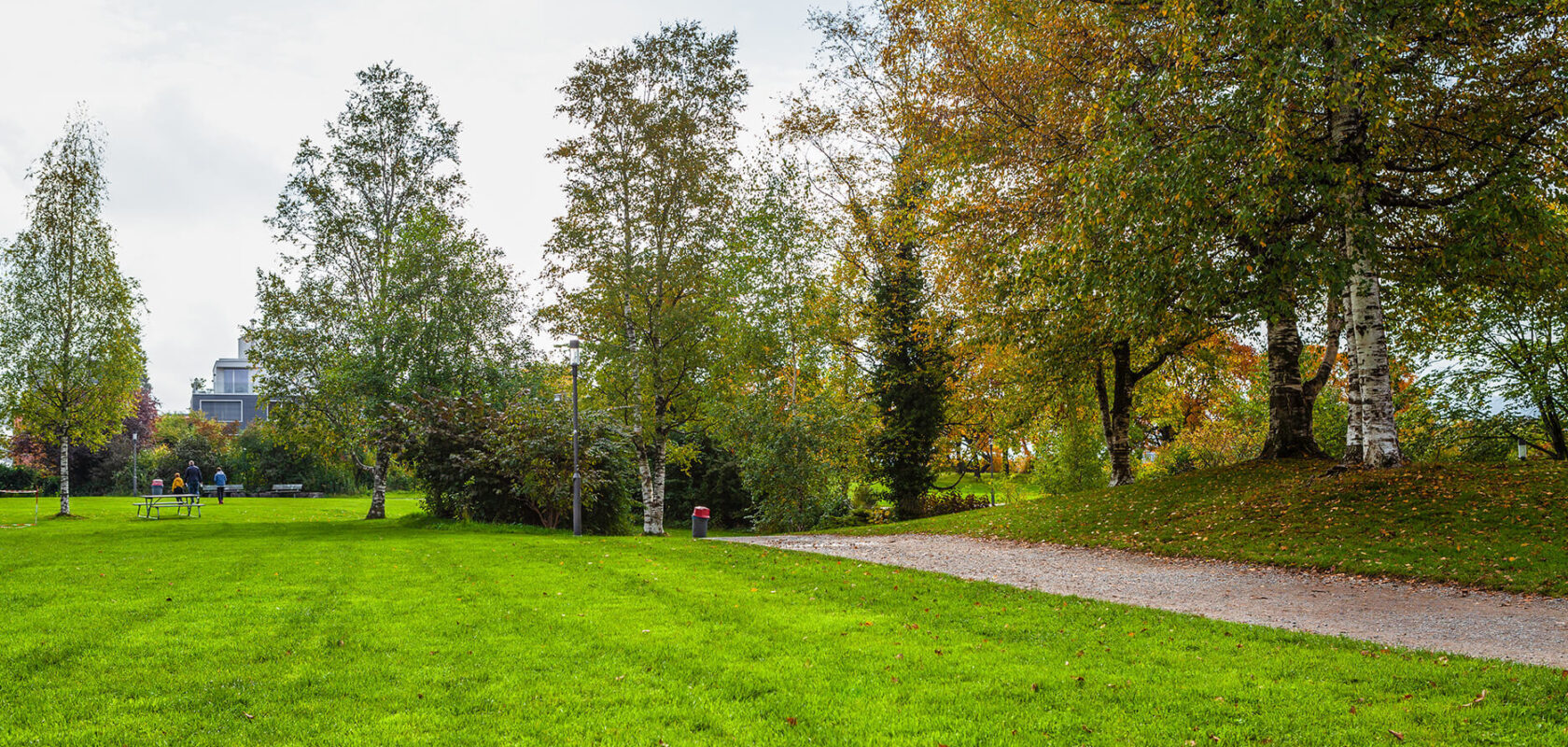 Am Schaffhauserplatz Zürich Wiese